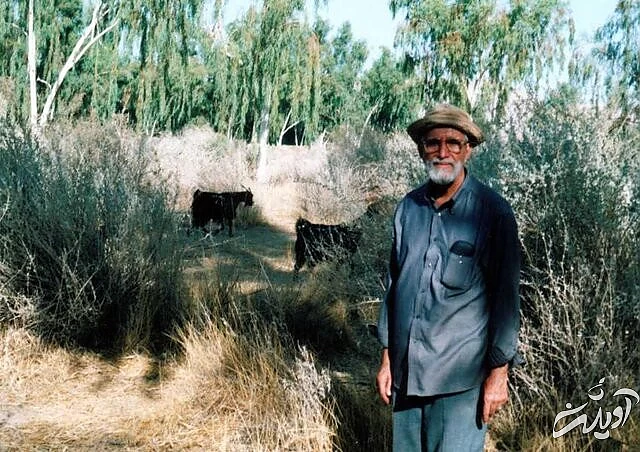 درسهایی که از استاد "آهنگ کوثر" نیاموختیم!